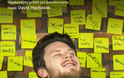 Všechny báječné věci 13.10. 2023 od 19:00 v Záhorovicích